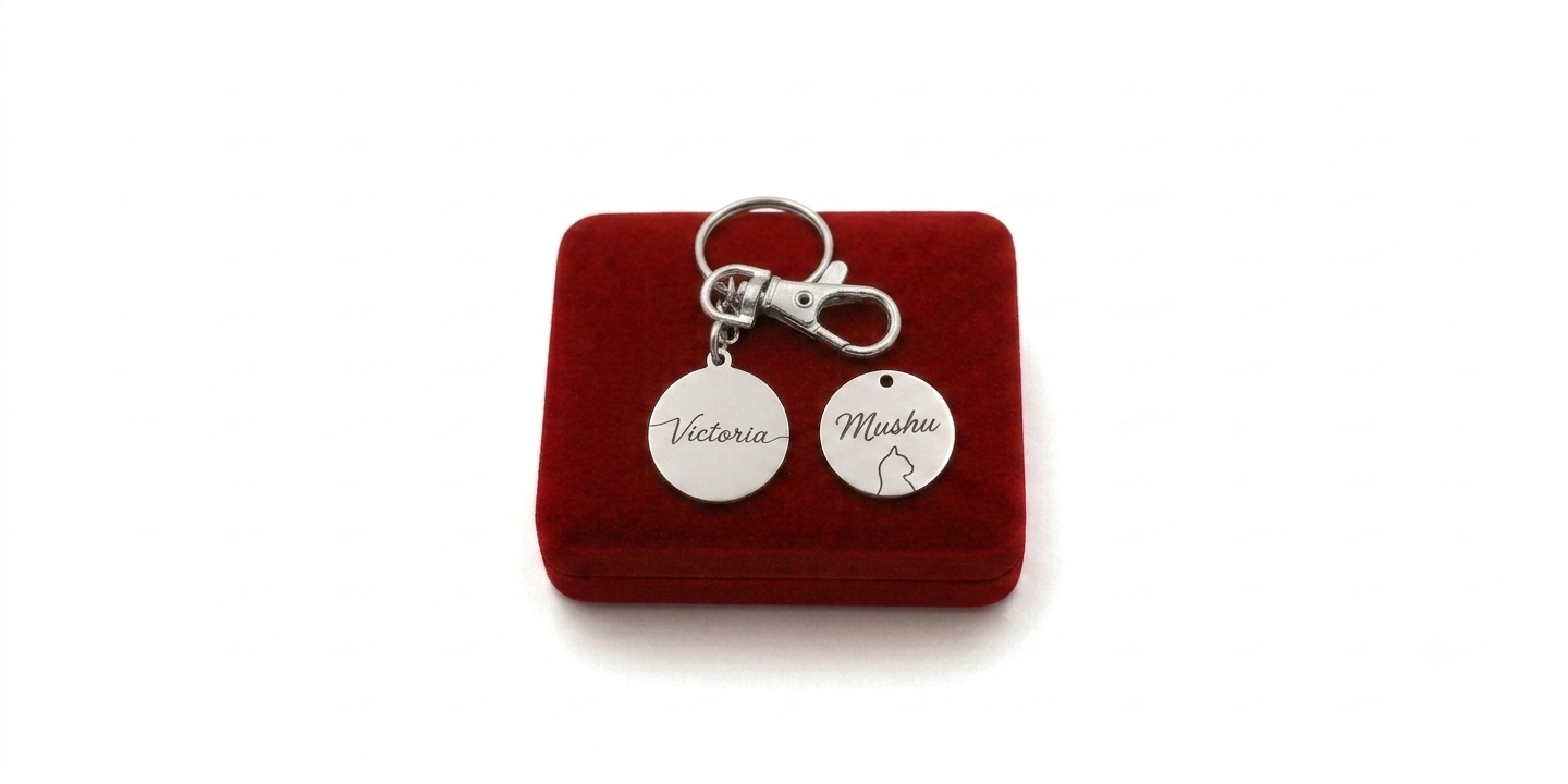 Llavero Companion Plateado