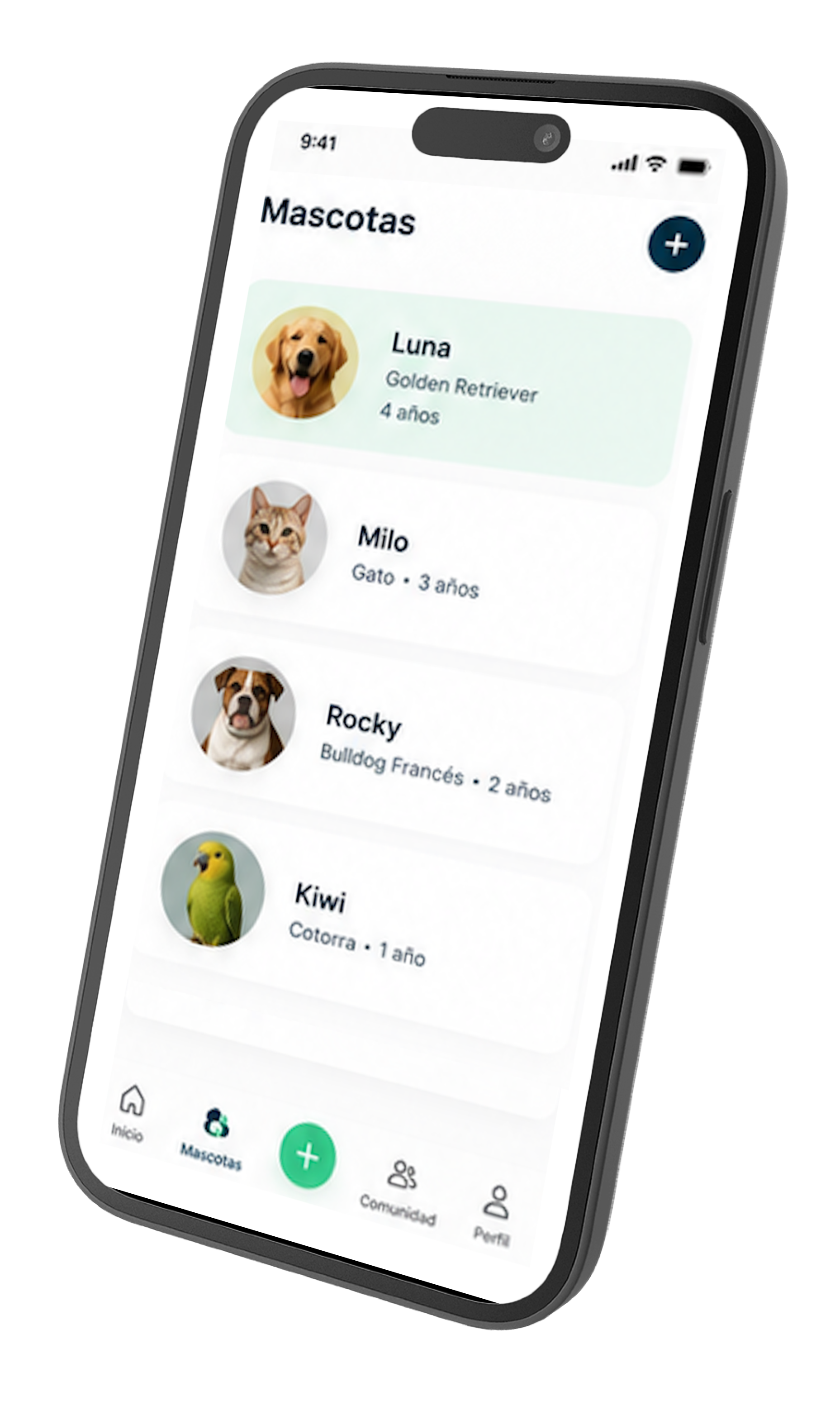 Phone Mockup