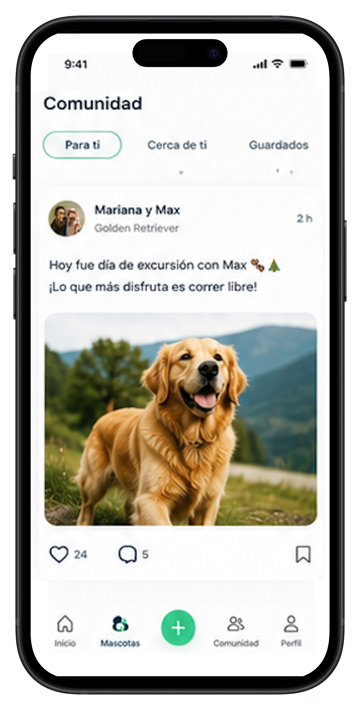 Phone Mockup